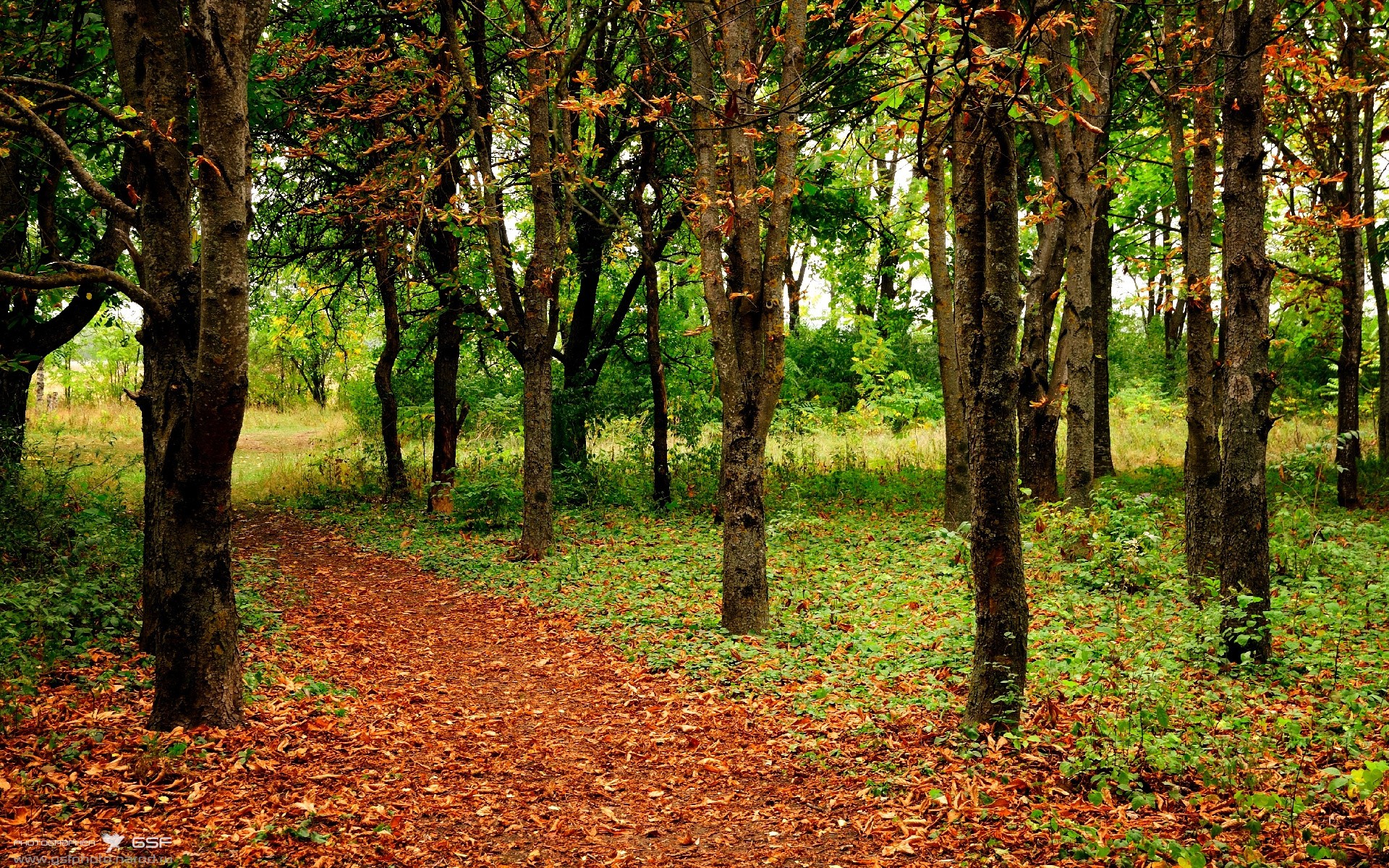 乐鱼体育App下载-热火球队拍摄新赛季宣传片展现拼搏精神，热火球队人员名单