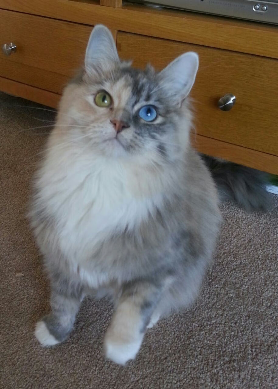 leyu乐鱼在线登录入口-西甲破门瞬间：极速突击带来经典一幕，西甲门将破门