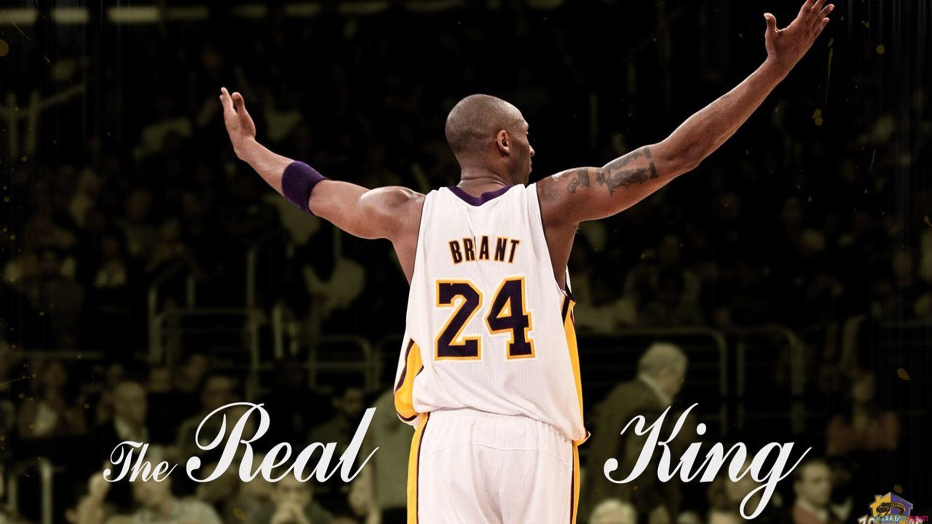 乐鱼体育手机版-2022年季后赛：库里带领勇士绝地反击，成功晋级下一轮，库里季后赛胜场数